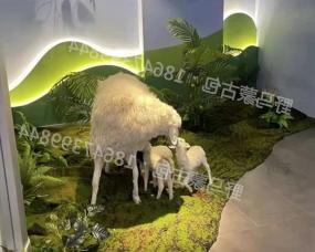 葫芦岛手工羊